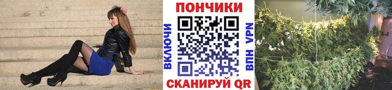 Где продают наркотики Соль-Илецк АМФЕТАМИН  МЕФ  ГАШИШ  Бошки Шишки 
