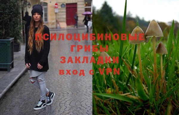 шишки Нефтекумск