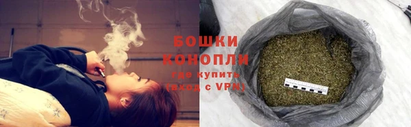 шишки Нефтекумск