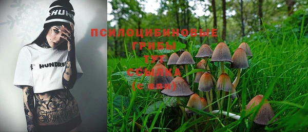 твердый Нея