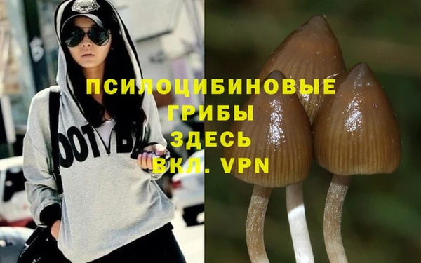 шишки Нефтекумск