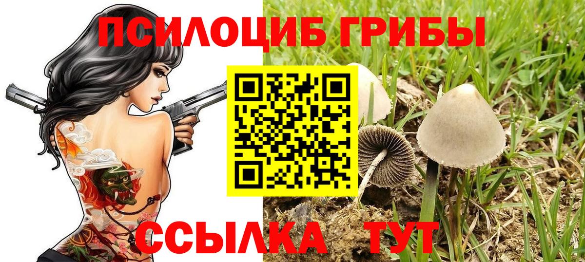 Псилоцибиновые грибы GOLDEN TEACHER Соль-Илецк